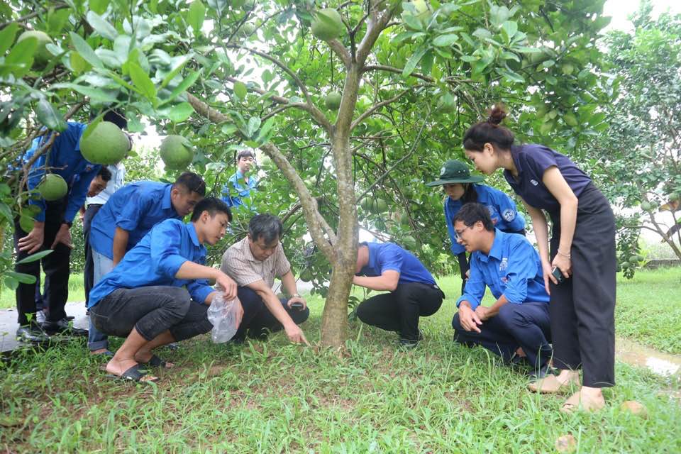 GIẢNG VIÊN HỌC VIỆN NÔNG NGHIỆP VIỆT NAM VỀ TRẠCH MỸ LỘC CHIA SẺ KINH NGHIỆM VÀ KỸ THUẬT TRỒNG BƯỞI CHO NÔNG DÂN