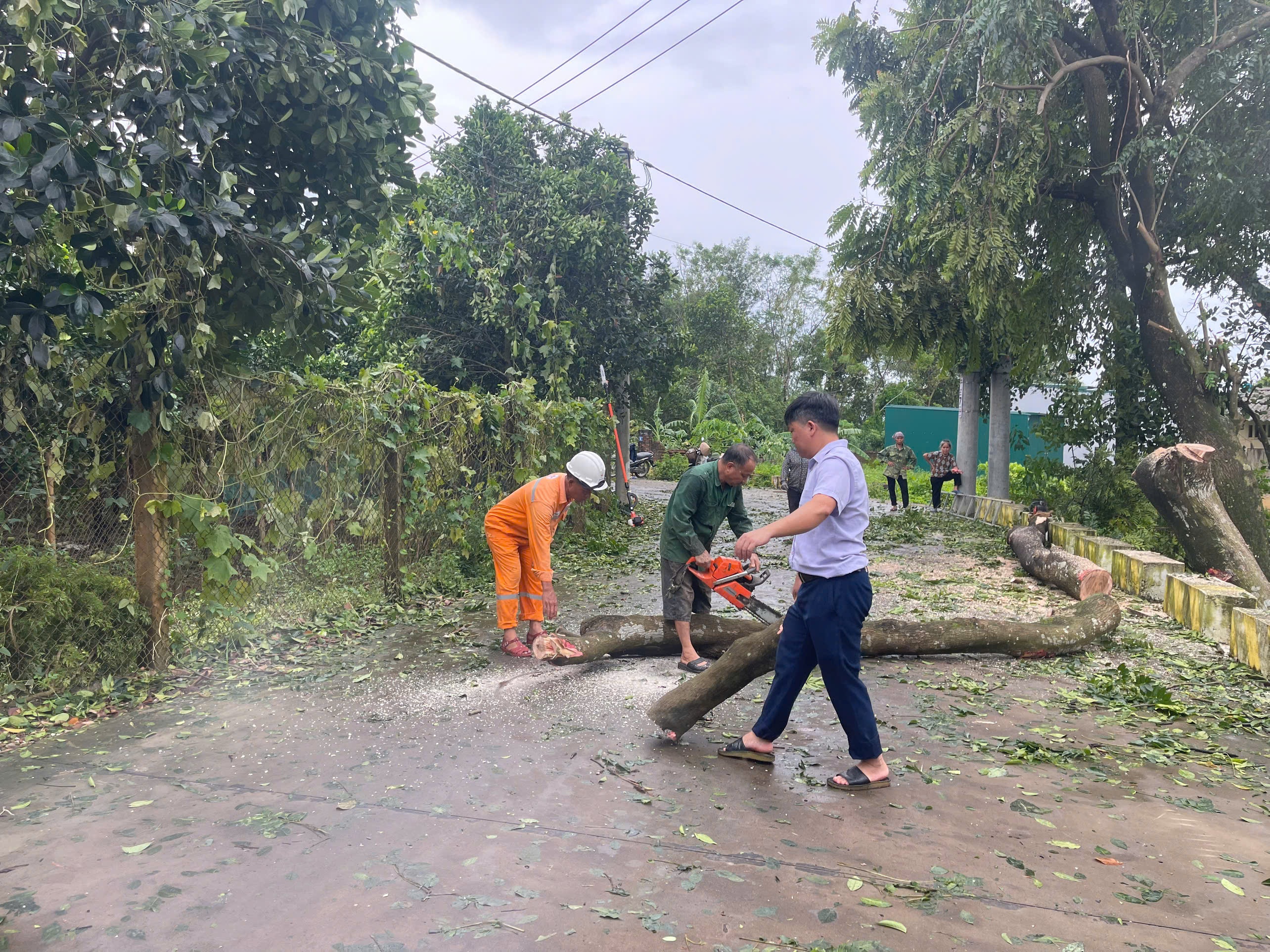 THÔNG BÁO của UBND XÃ TRẠCH MỸ LỘC VỀ VIỆC KHẮC PHỤC HẬU QUẢ SAU BÃO YAGI