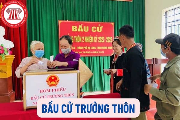 Trạch Mỹ Lộc công bố quyết định ngày bầu cử trưởng thôn